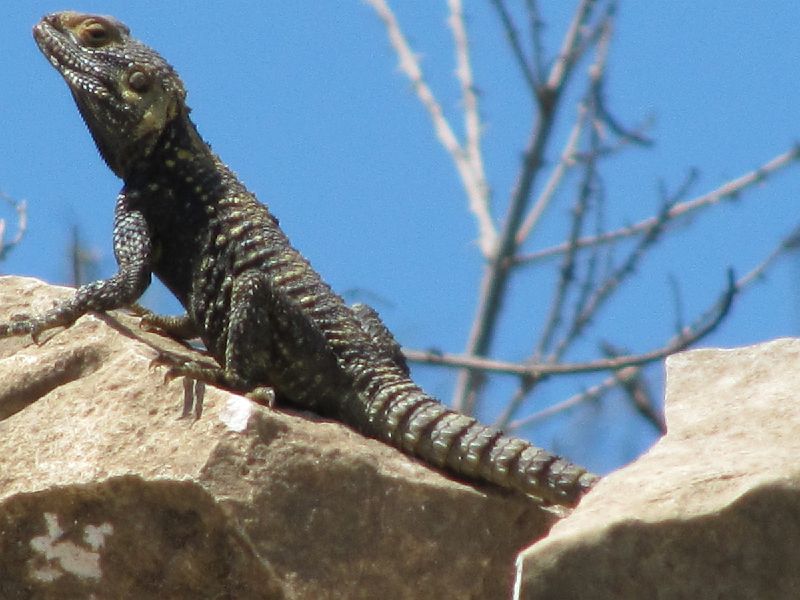 080 2014-04-21_Perge